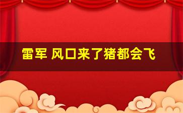 雷军 风口来了猪都会飞